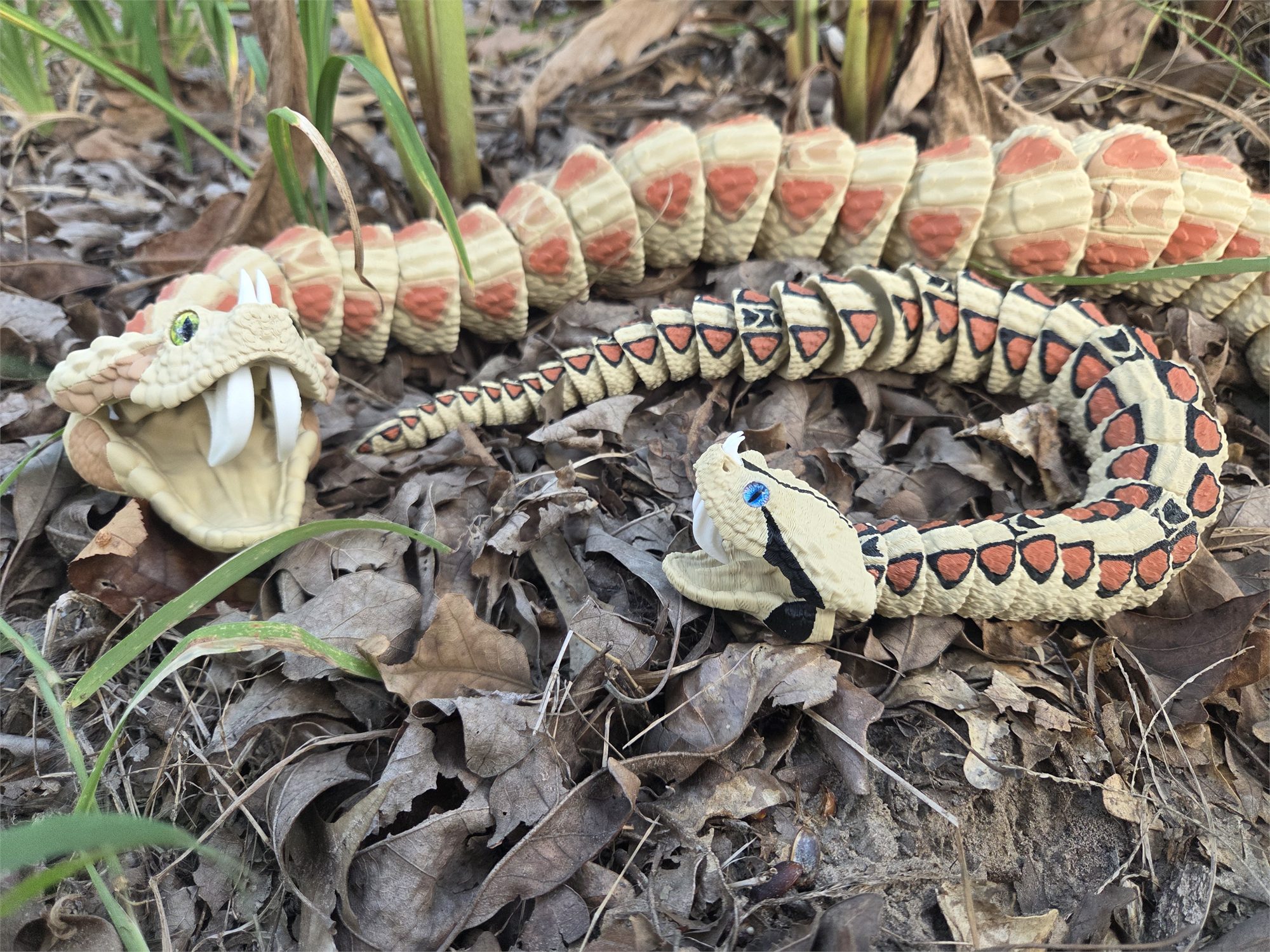 Gaboon Viper