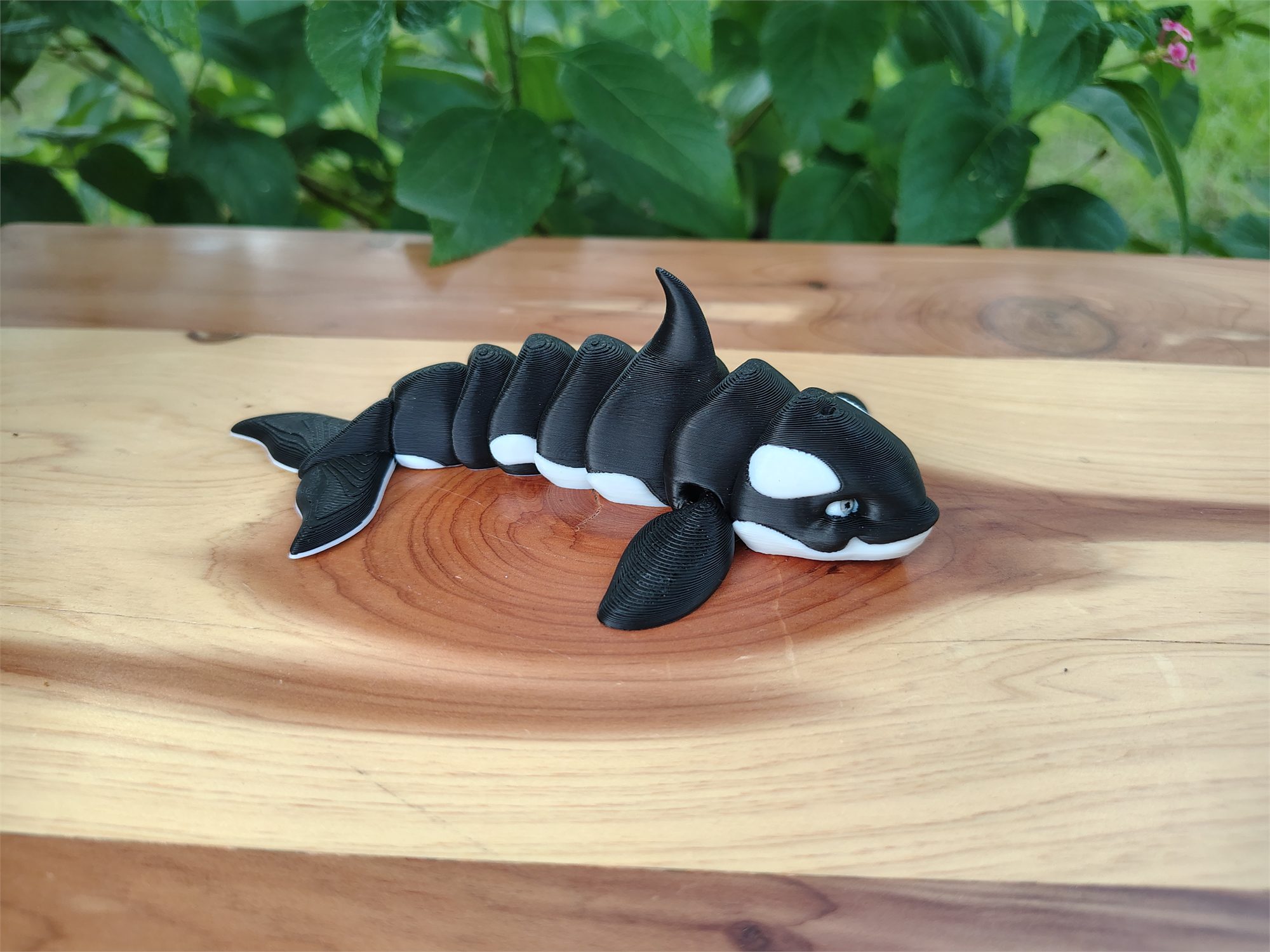 Orcas