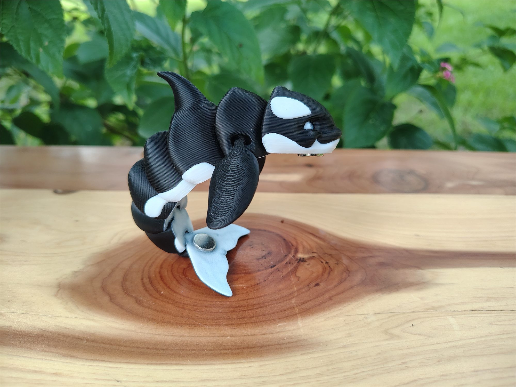 Orcas
