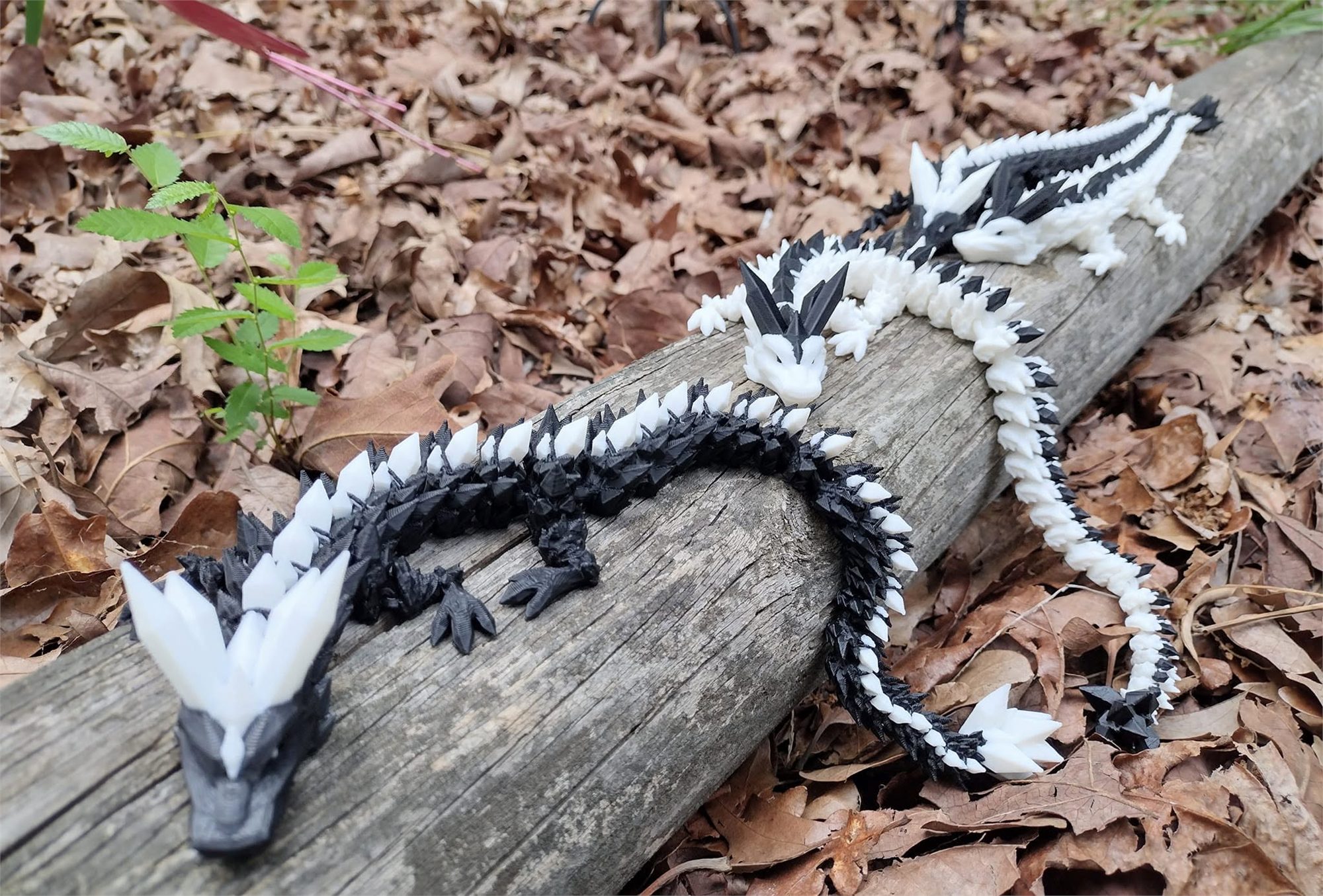 Crystal Dragon