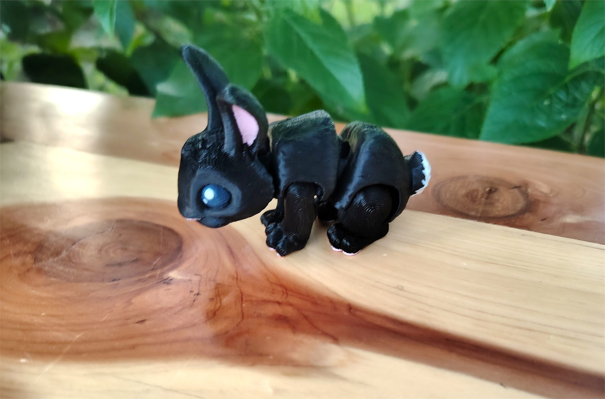 Bunnies