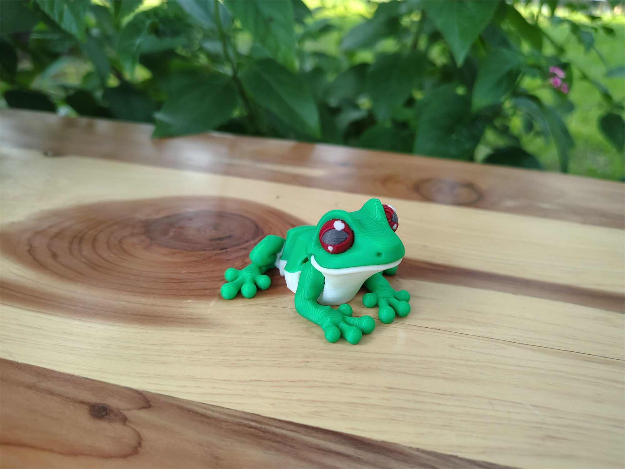 Frogs