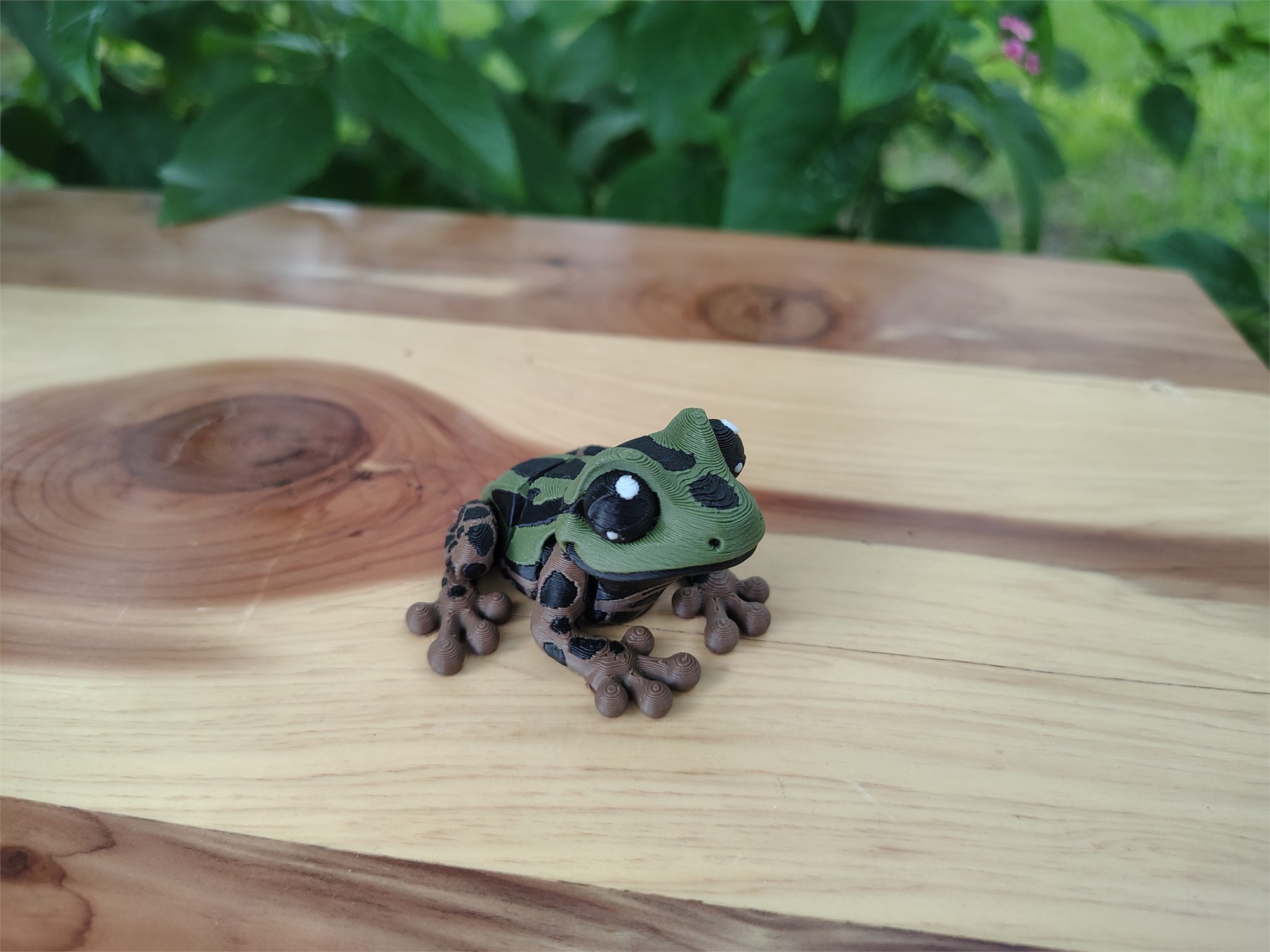 Frogs