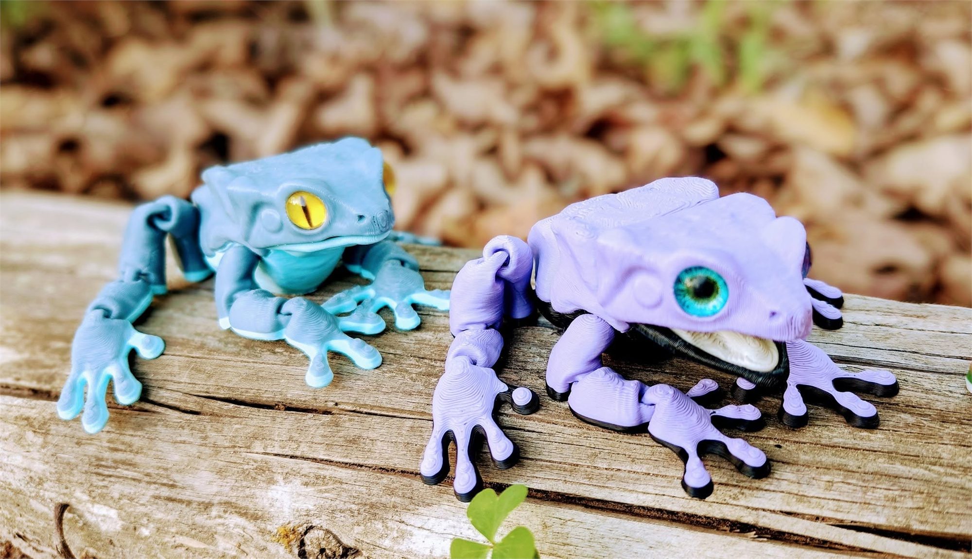 Frogs