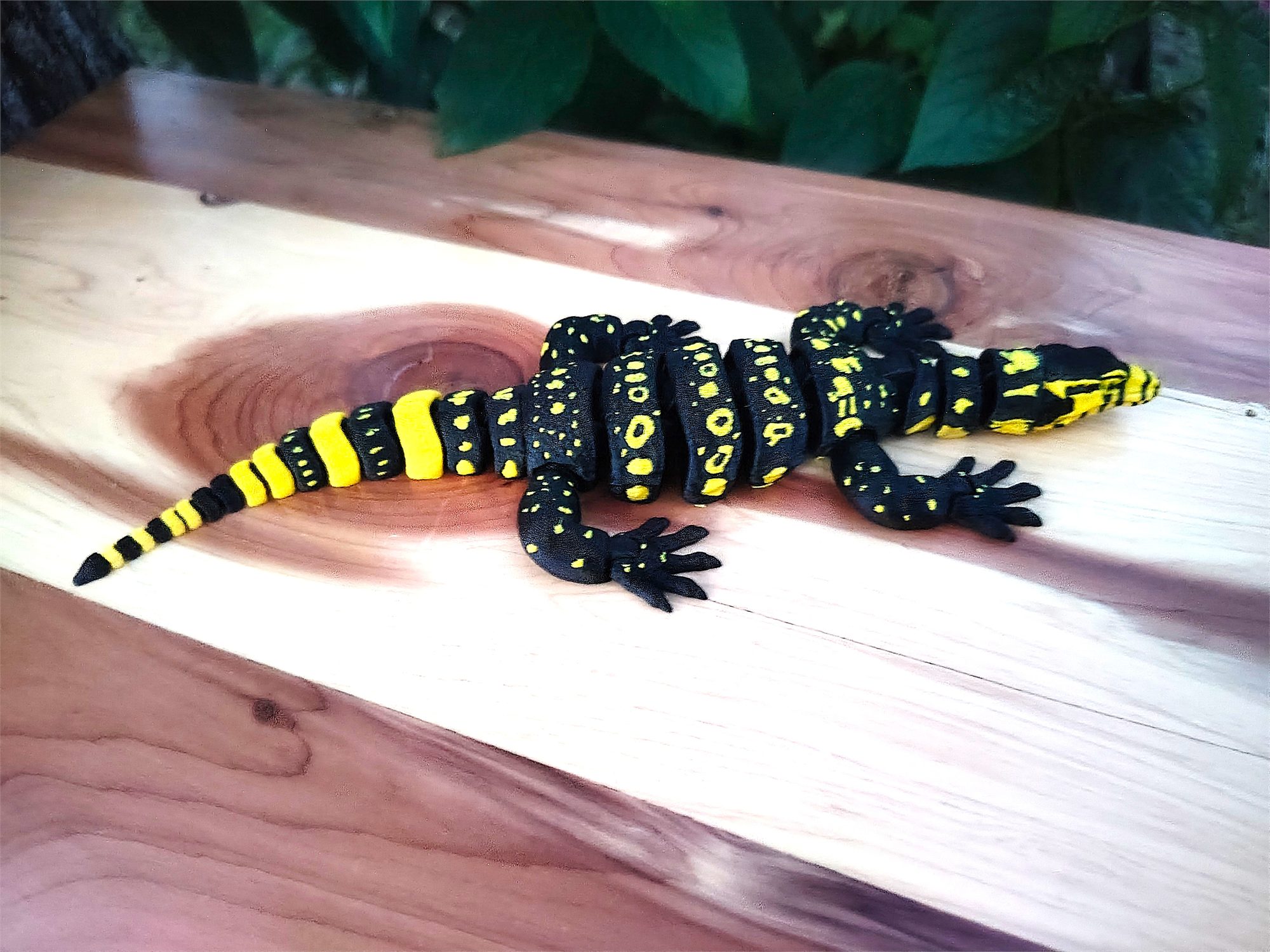 Water Monitors