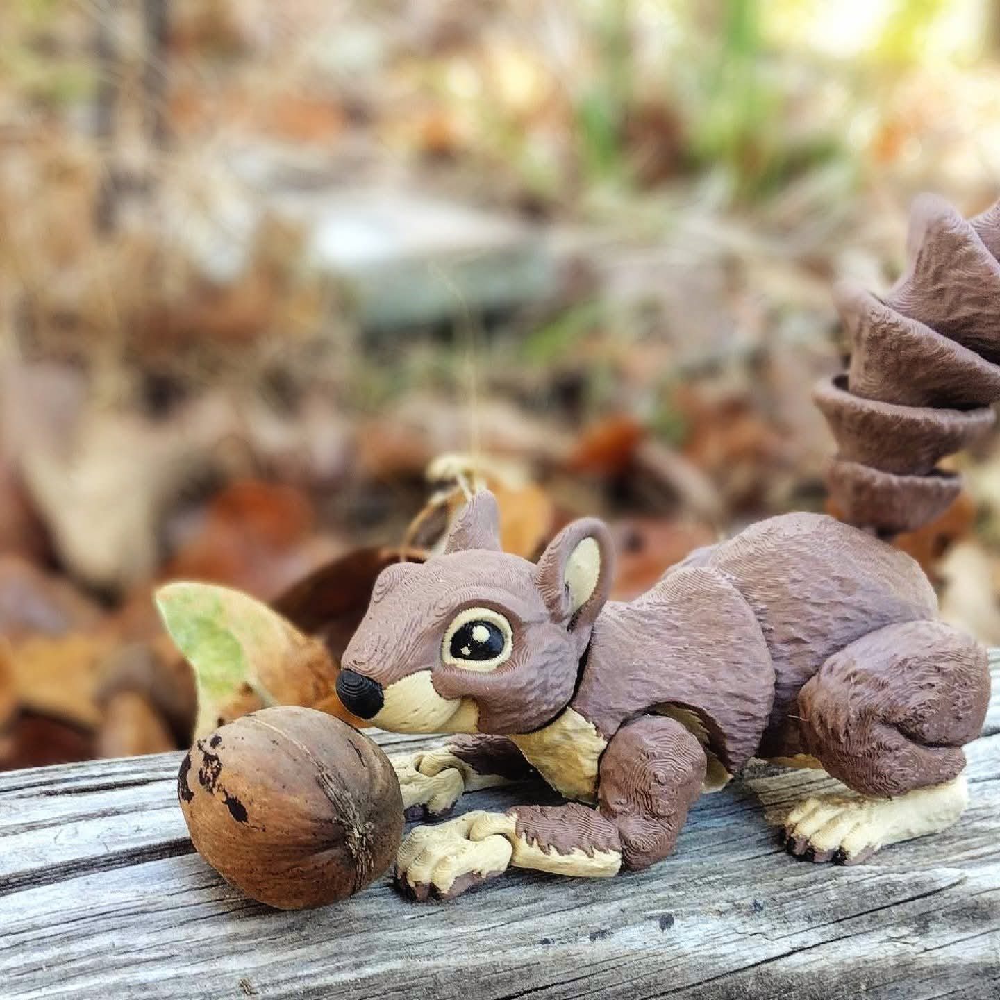 Squirrel