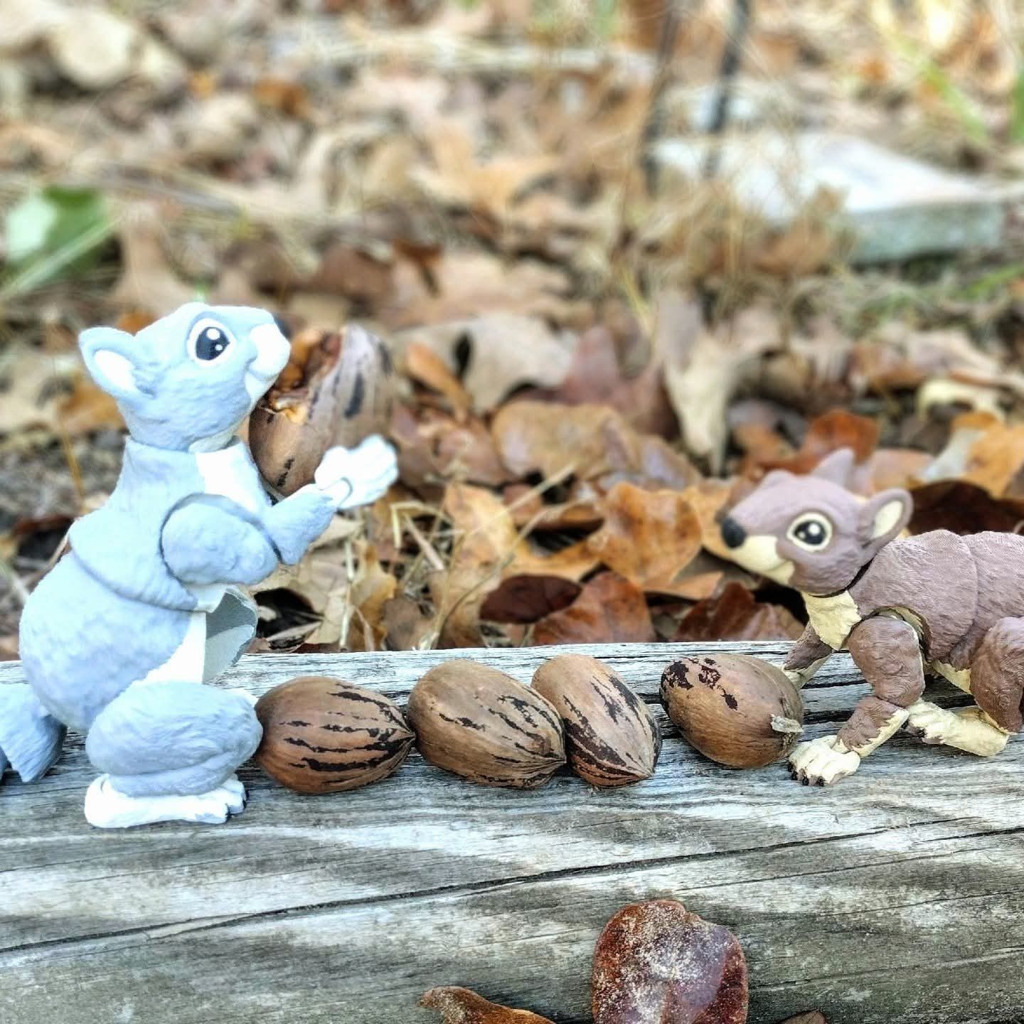 Squirrel
