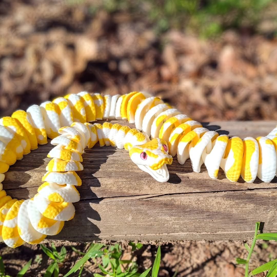 Boa Constrictors