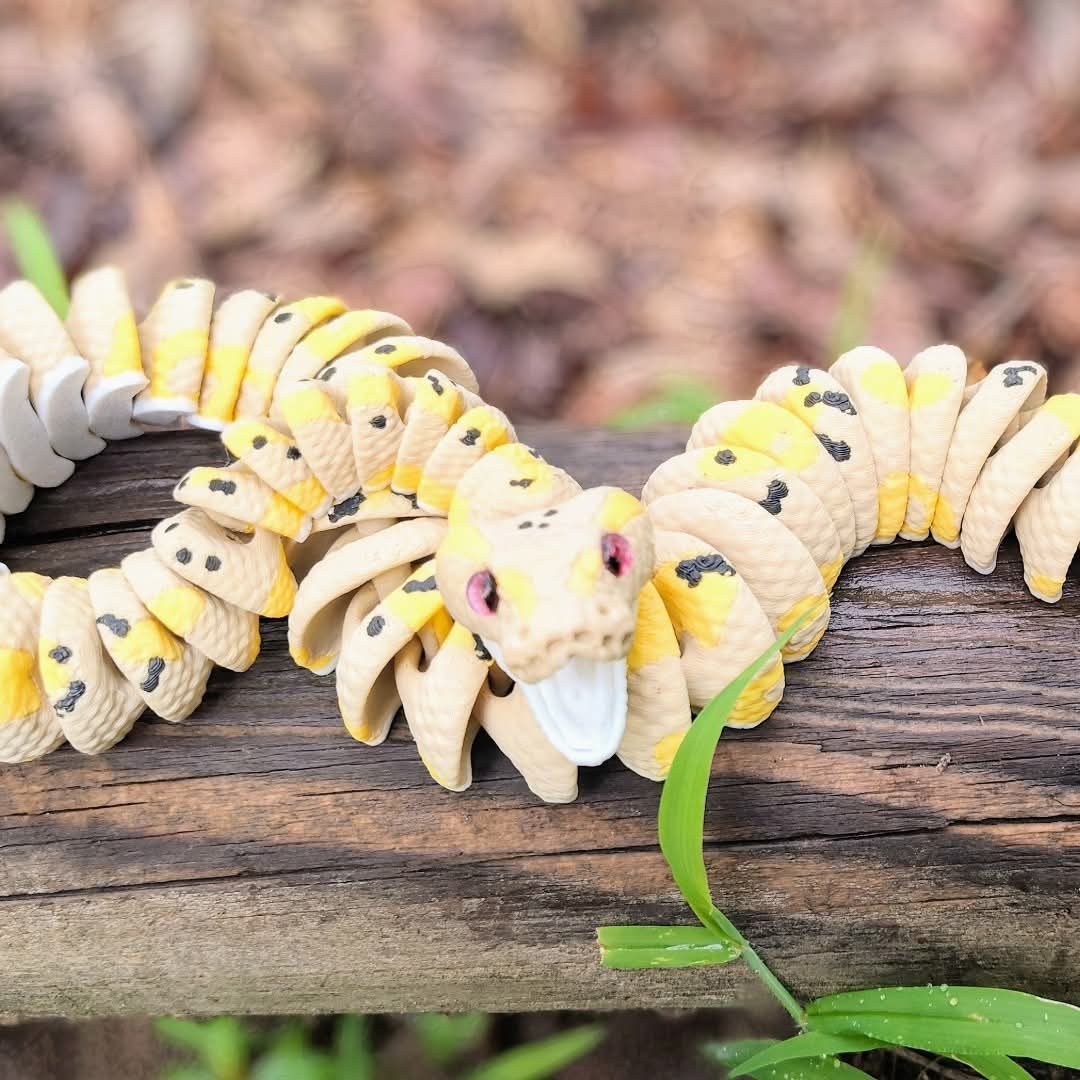 Boa Constrictors