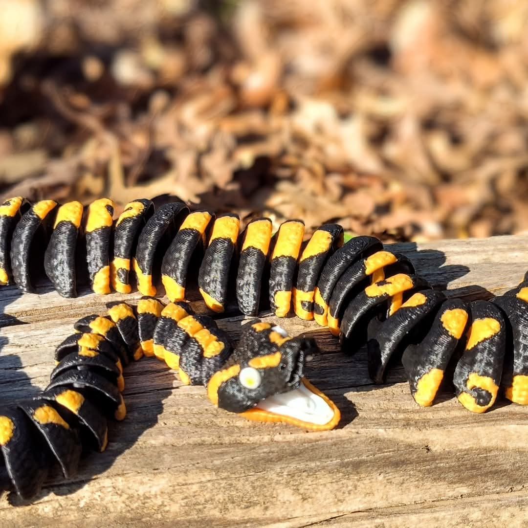 Boa Constrictors