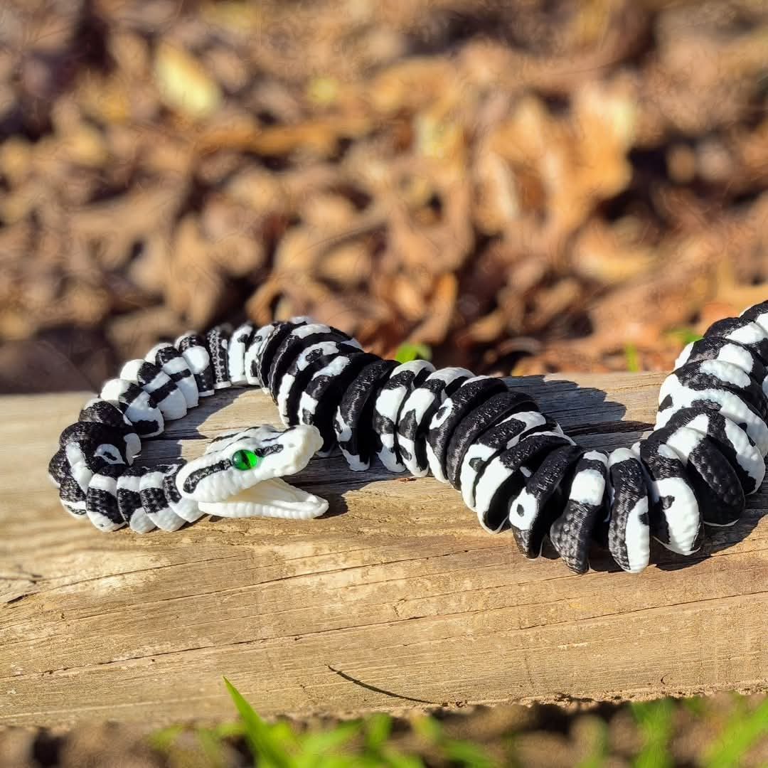 Boa Constrictors