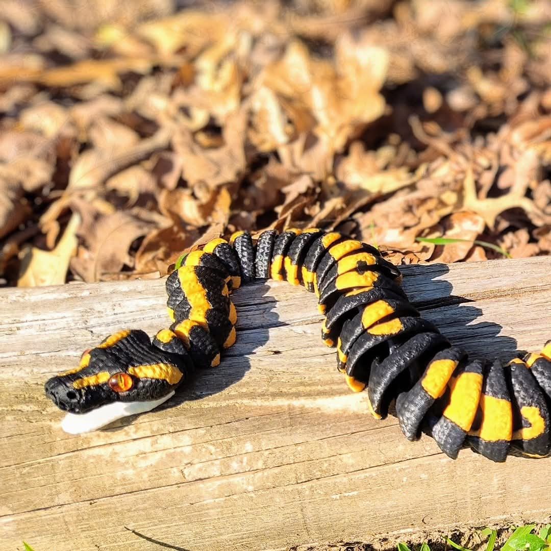Boa Constrictors