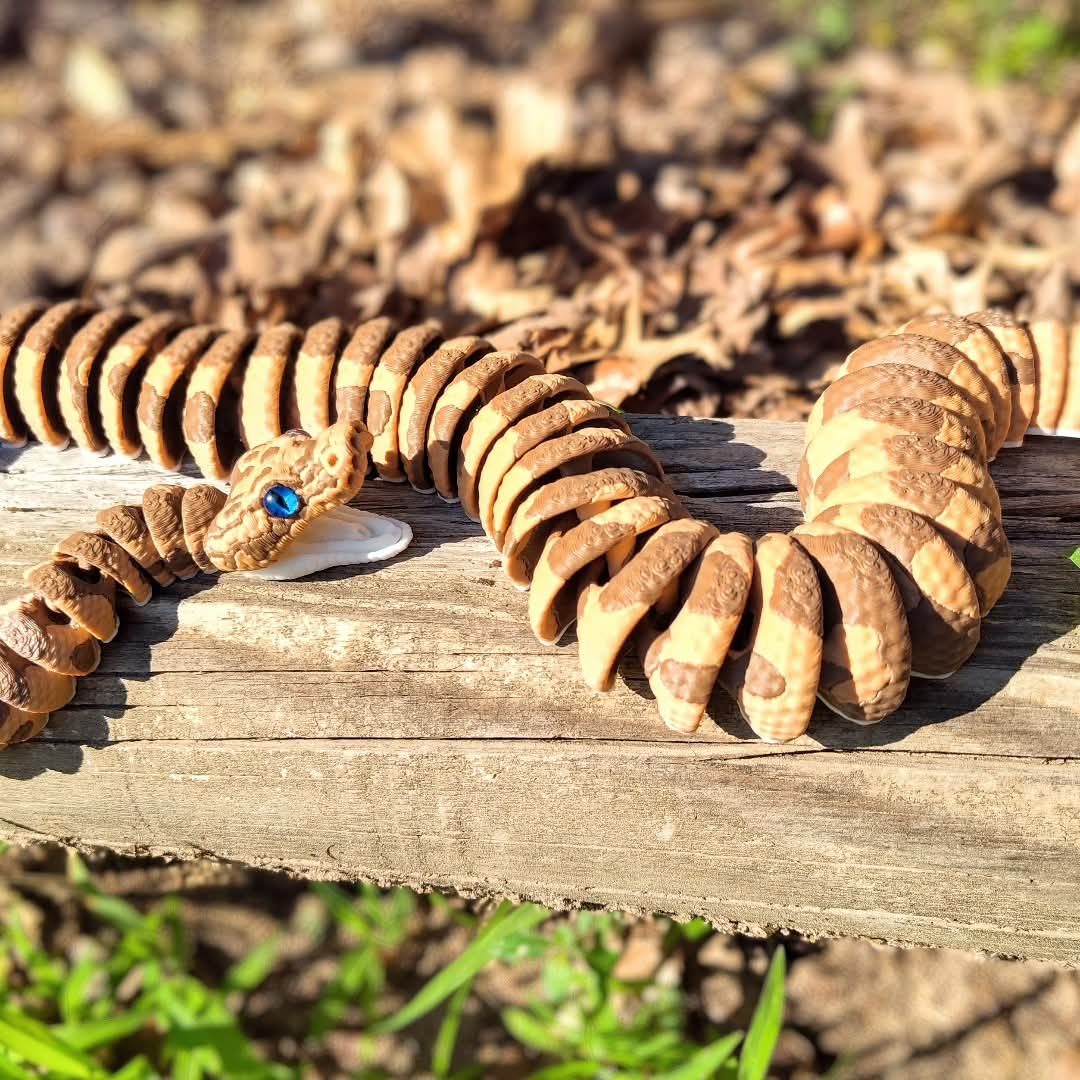 Boa Constrictors