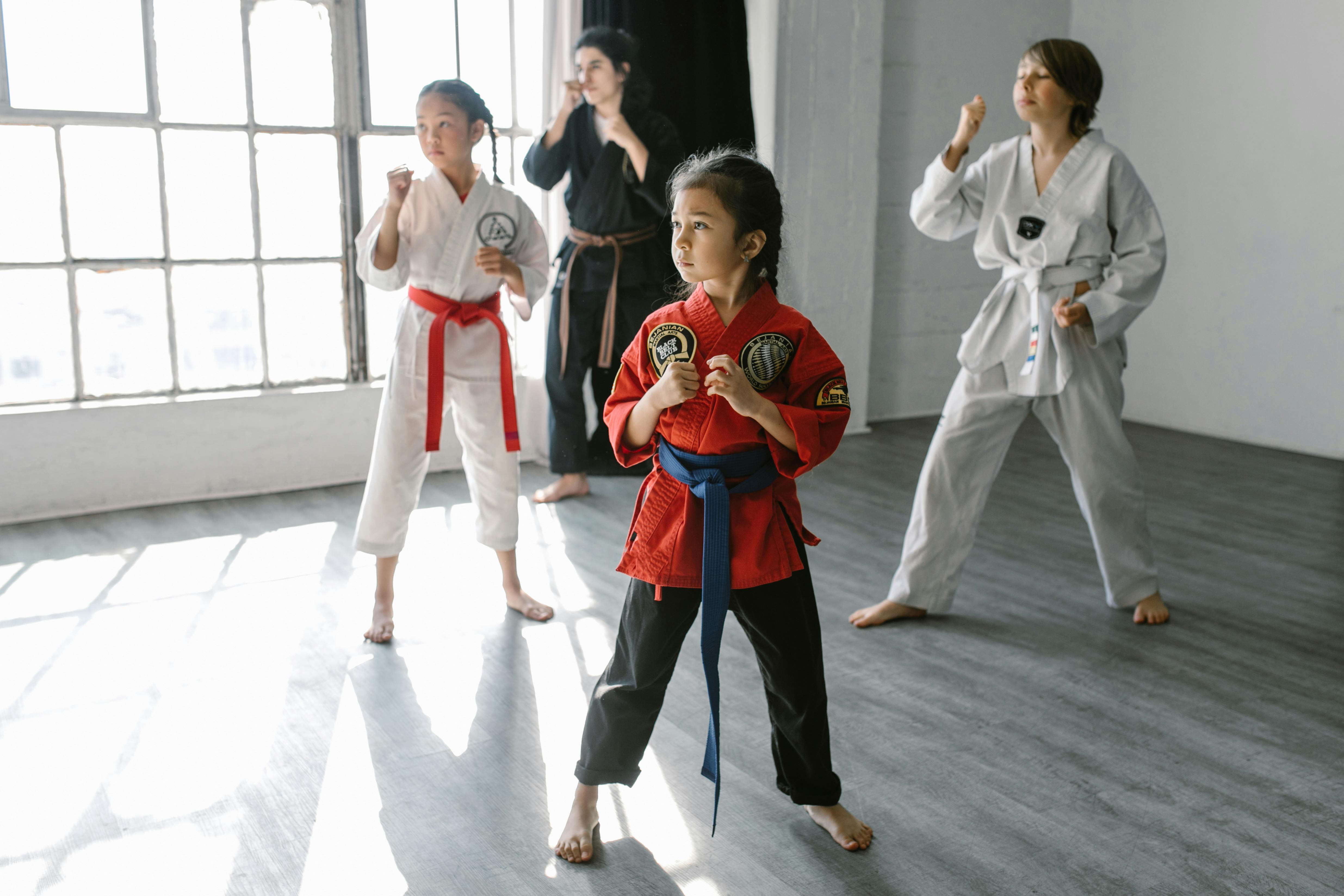 Beginner Martial Arts Program