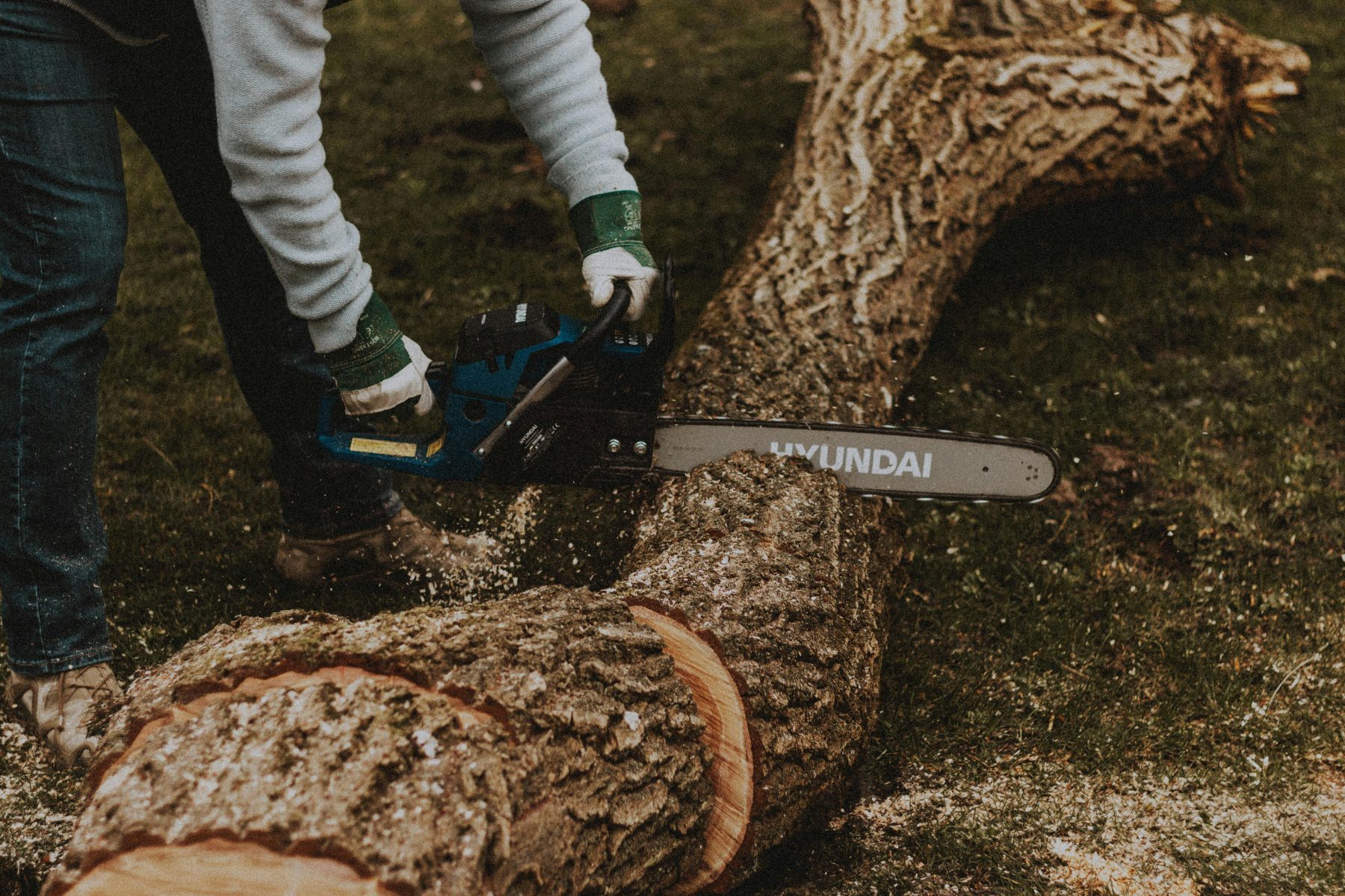 Tall Pines Tree Service difference section image 1