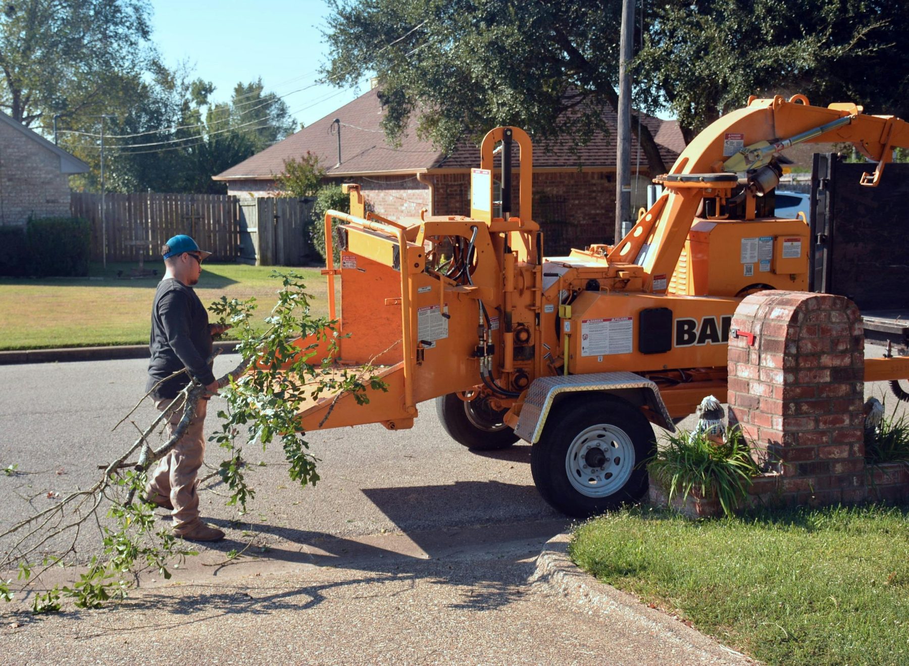 Tall Pines Tree Service difference section image 4