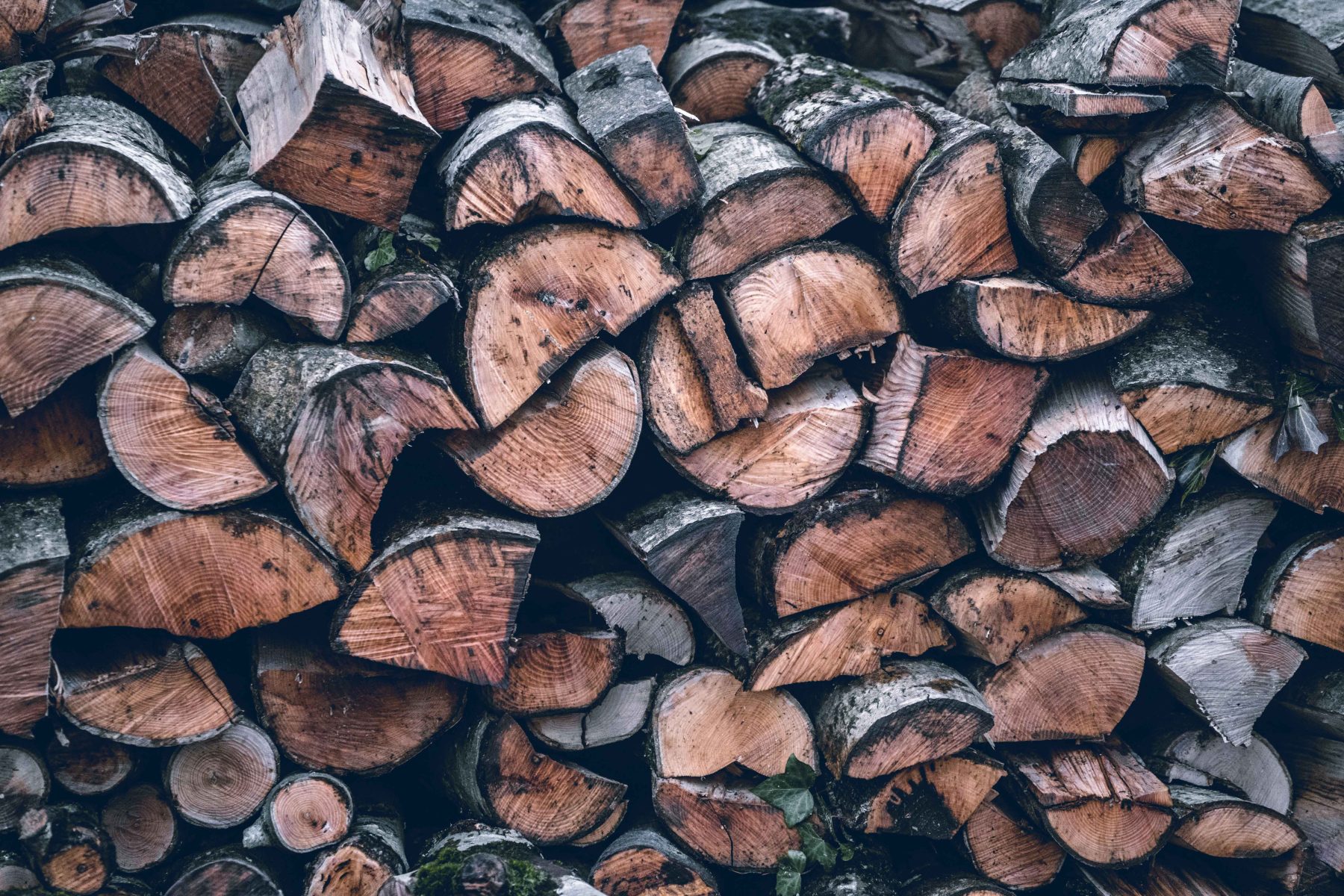 Firewood