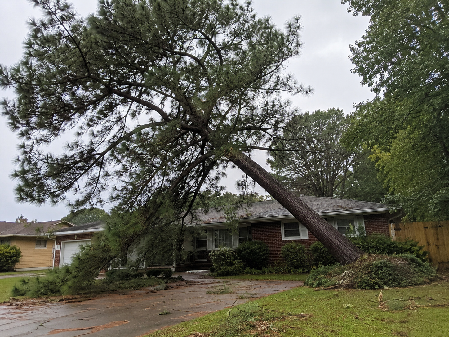 Storm Damage Cleanup